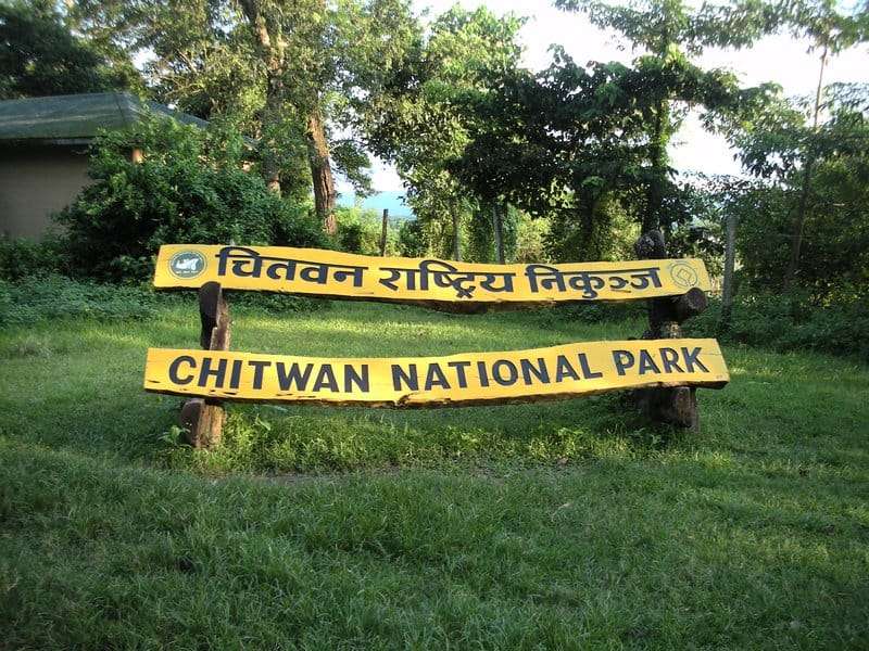 चितवन राष्ट्रिय निकुञ्ज घुम्नेमा स्वदेशी भन्दा विदेशी बढी