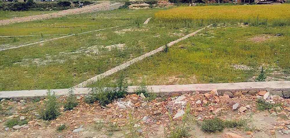 मङ्सिरमा घरजग्गाको कारोबारबाट करिब चार अर्ब राजश्व सङ्कलन