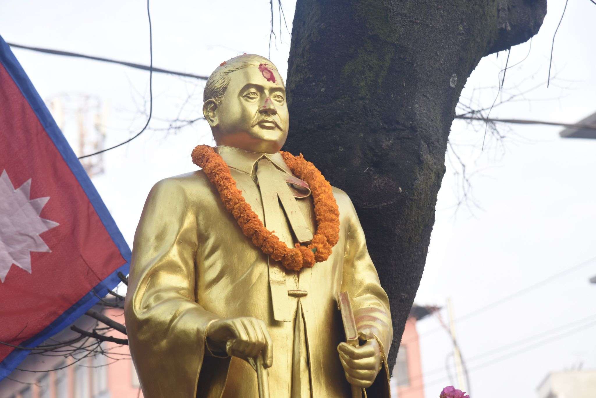 शहीद सप्ताह सुरुः शुक्रराज शास्त्रीप्रति श्रद्धाञ्जली